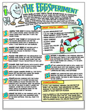 EggSperiment activity sheet - Pediatric Dentist in Keller, Fort Worth and Southlake, TX - Bridget McAnthony, DDS